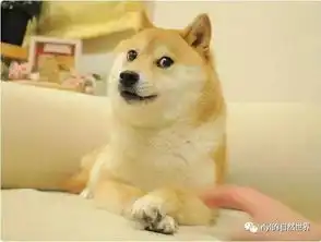 我们的去世了
