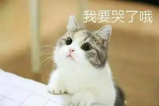超萌的qq趣味表情包大全
