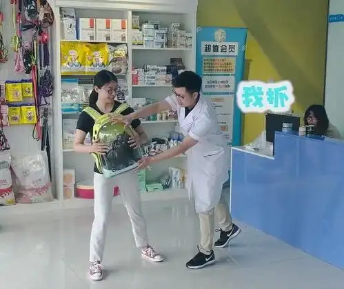 表情主人担心猫咪记仇,和医生演戏,看到猫咪绝育后的表情顿感不妙...表情
