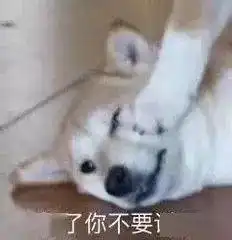 有哪些笑死个人的文言文翻译
