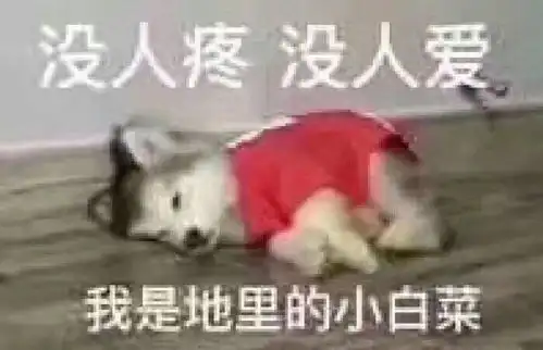 微博上看到的当代网友的控楼能力
