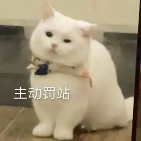 沙雕猫猫表情包气到炸毛

