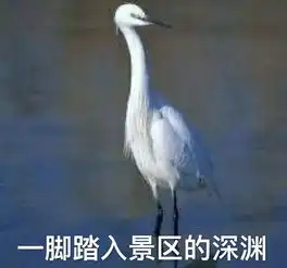 昨天景区人多到爆炸车停得没法开承德的周末简直惹不起