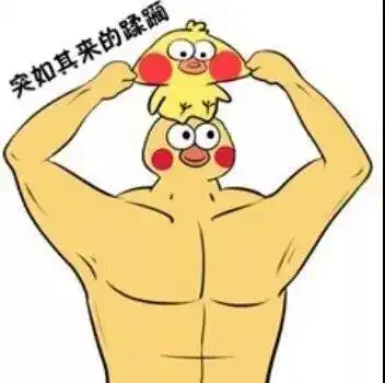 抖音七彩小黄鸭全套表情包哪里有被套回的小黄鸭
