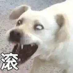 不回微信就扣钱,什么破公司
