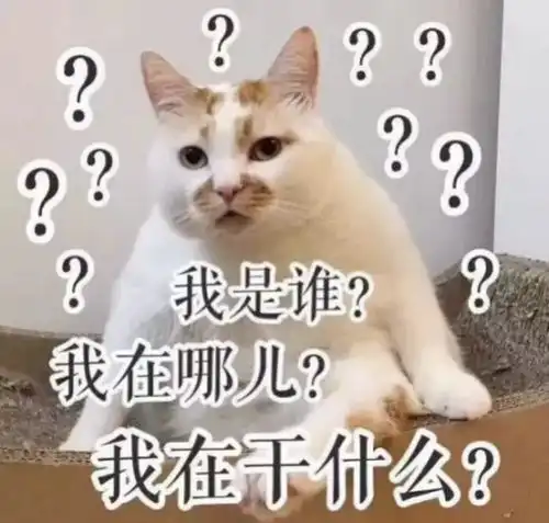 小布说天气开学第一劫大家自我介绍一下吧
