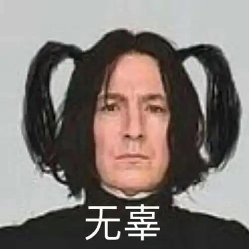 哈哈哈哈利波特表情包斯内普教授小可爱来啦