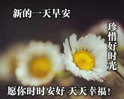 早上好微信问候语大全朋友早安表情包大全
