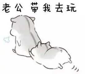 仓鼠表情包夸老公表情包合集老公最帅,老公最棒
