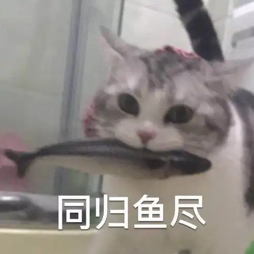 虹鳟鱼也归为三文鱼了网友为此吵翻了,刚学会区分就合并了...
