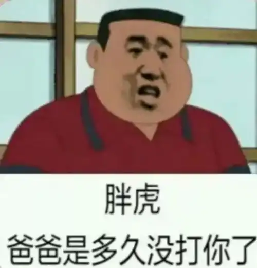 胖虎表情包丨我是你的双马尾小宝贝吗
