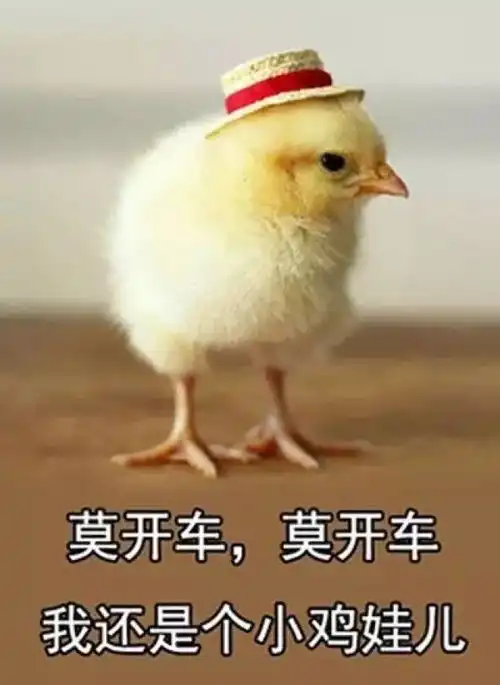 有一个稀有的姓是什么体验网友我姓平,朋友都喊我平兄
