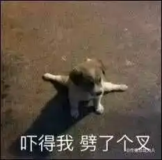 百度移动搜索昨晚宕机网友玩嗨搜索比我帅的人
