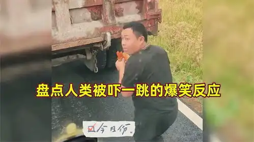 盘点全网吓一跳的爆笑瞬间,每一帧都是表情包,笑到肚子痛
