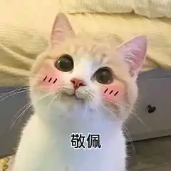 斗图必备,郭天王的表情包真的好好用呀
