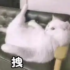 你有没有那种书emmm就是那种啦欢乐吐槽的小说推荐
