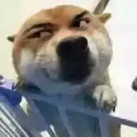谁教你的男生真的有大姨夫
