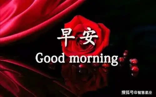 周二早上好,早晨送你最全的2021问候表情包图片
