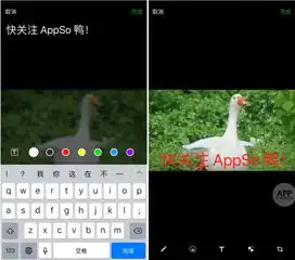 微信最火的鸭鸭表情包大集合,快来带走鸭内附资源有用功

