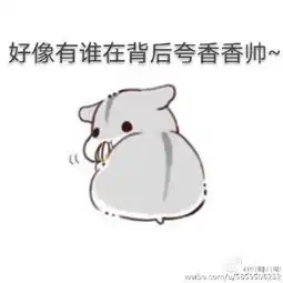 仓鼠太太表情包

