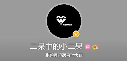 张碧晨制作总裁新年表情包颁奖典礼
