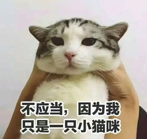 我曾尝试过写一些小说,但是
