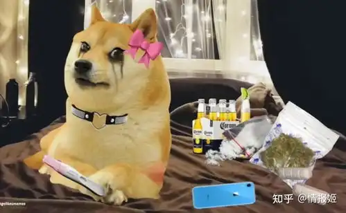 那只表情包里的废柴狗,如今是全世界肥宅的正义doge
