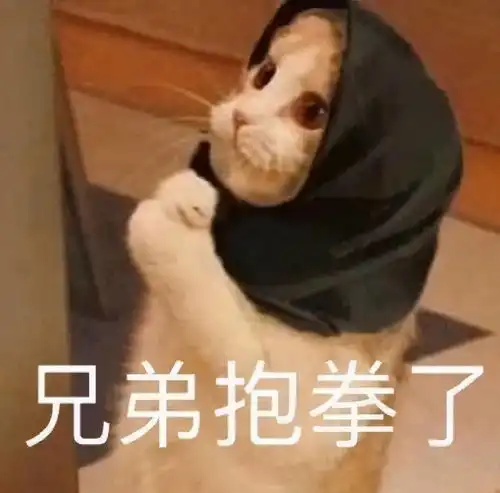 成考本科毕业后,第一学历是本科还是专科

