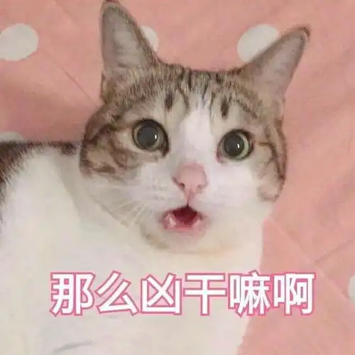 给大家来一组敲可爱的表情包
