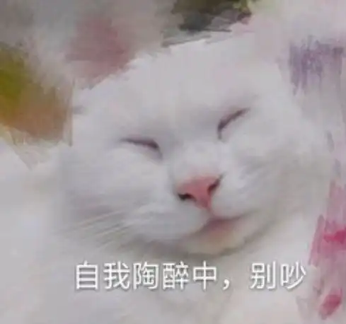 请问大家有没有类似自欺欺人尺这样的表情包
