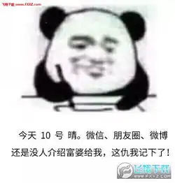 熊猫头记仇表情包下载熊猫头记仇表情图片下载飞翔下载
