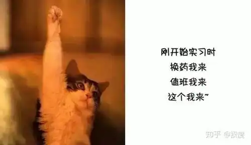 我特别想学医学,哥哥姐姐可以给我分享在医学院的经历吗
