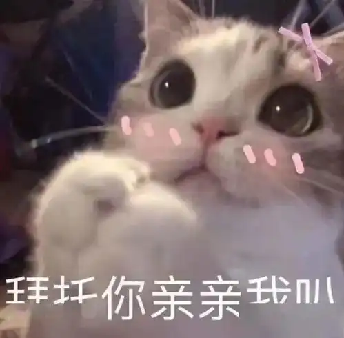 适合哄男朋友的甜甜的表情包
