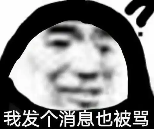 表情包我发个消息也被骂
