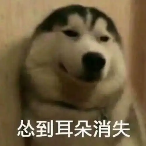 沙雕表情包拿走不谢
