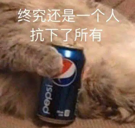搞笑gif你们看我养的宠物猪多乖,宝贝儿,下来走走
