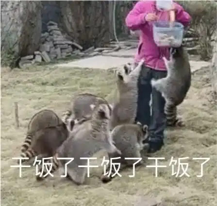 沙雕表情包爱情它哪有干饭香
