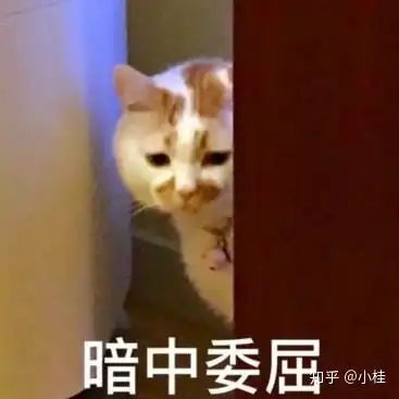 康普申请为什么越来越难,越来越高冷
