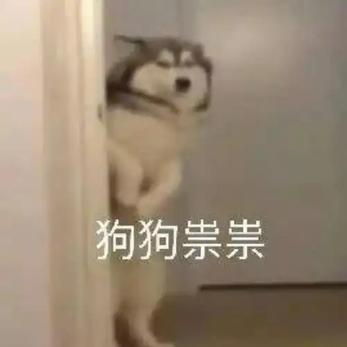 青春志愿爱在旅途春运回家路上,资阳青年志愿者暖心相伴
