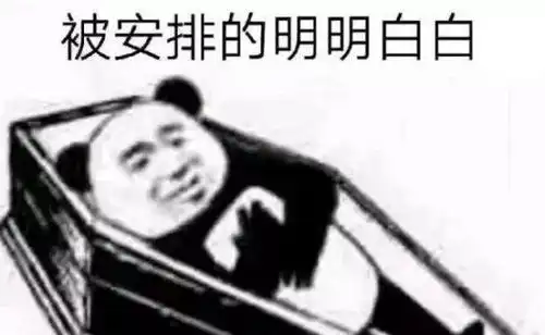 都8102年了,看看你的口头禅更新到哪儿了

