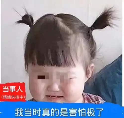近期热门斗图表情包求你了写作业去吧
