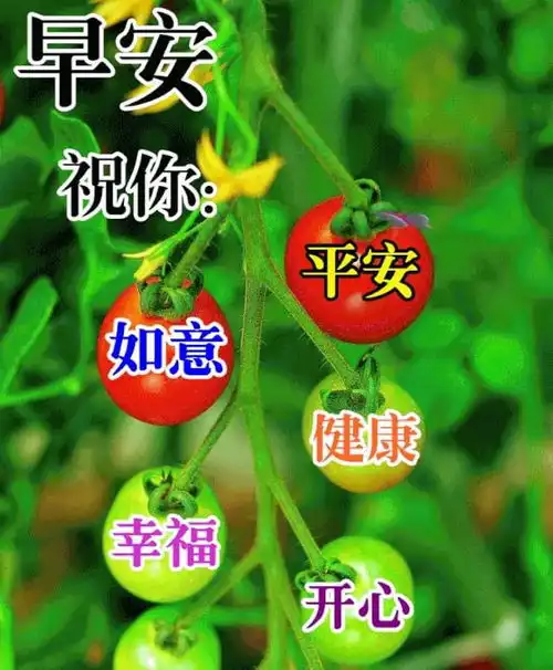 给朋友的早上好暖心祝福语微信群发早安问候语图片表情
