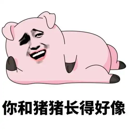 爱5猪猪公寓表情包下载爱5猪猪公寓表情包分享最新下载站
