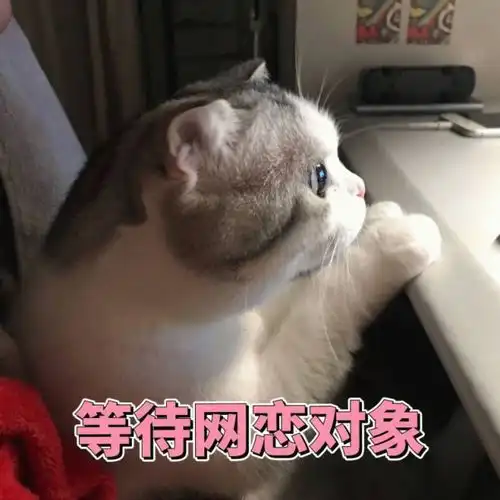 表情包猫猫表情委屈到自闭
