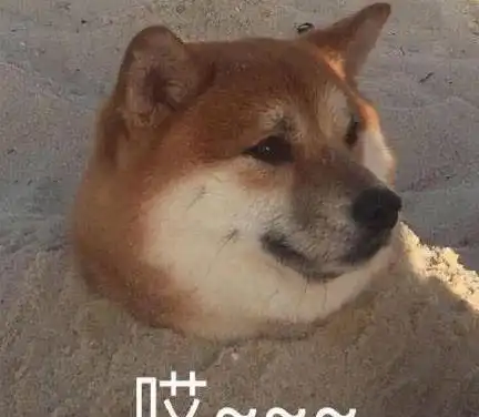 山寨版上错花轿嫁对郎为什么翻拍剧总是如此难看
