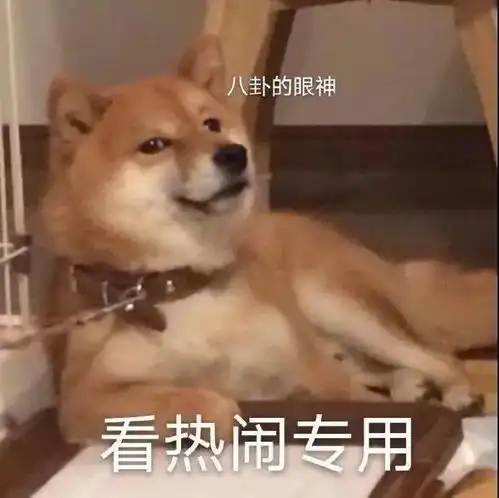 表情包今天也在努力划水