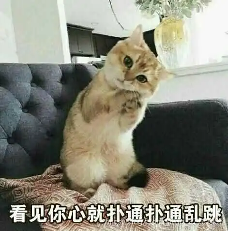 猫咪拿话筒唱歌表情包