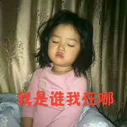 拒绝地域黑什么小偷骗子偷井盖河南人很中
