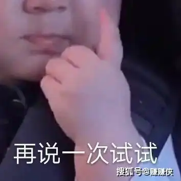 搞笑表情包图片再说一次试试,我就要说
