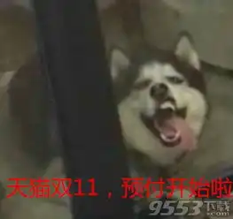 付尾款时的我表情图片下载双11付尾款时的我表情包最新版下载9553下载